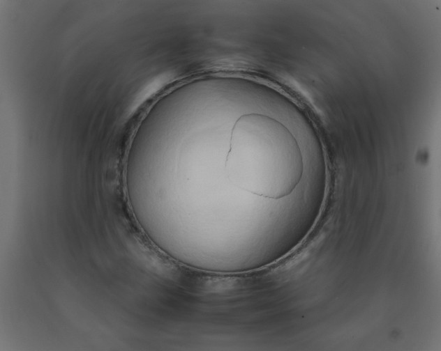 X0000090621211200707311237