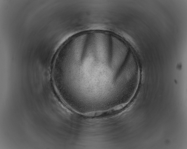 X0000090621212200707311237