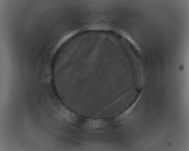 X0000090621213200707311237