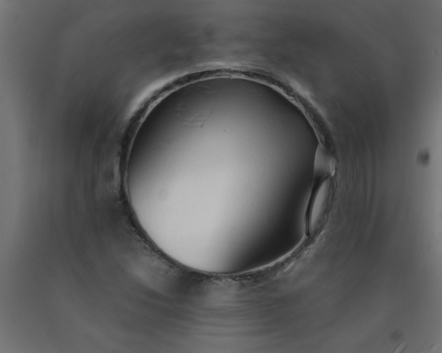 X0000090621214200707311237