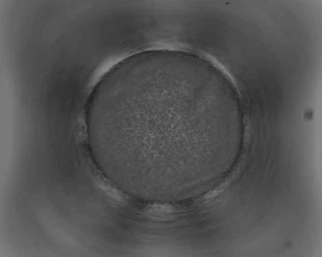 X0000090621215200707311237