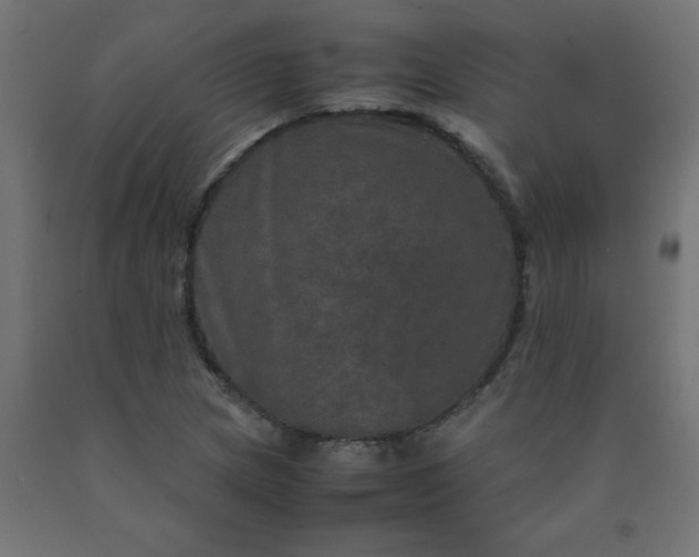 X0000090621217200707311237