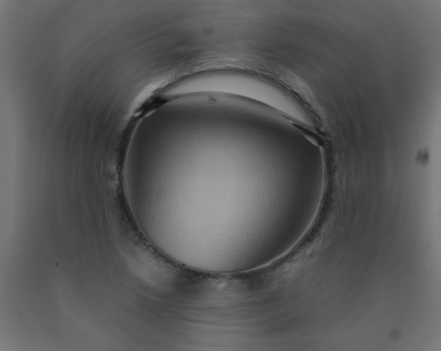 X0000090621218200707311237