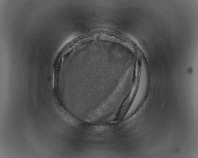 X0000090621219200707311237