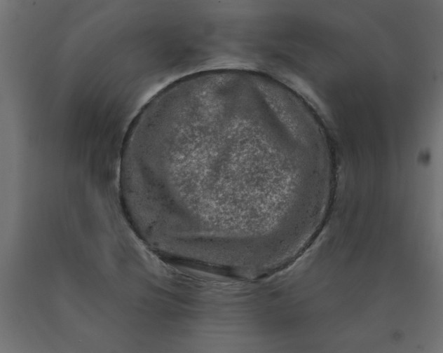 X0000090621220200707311237