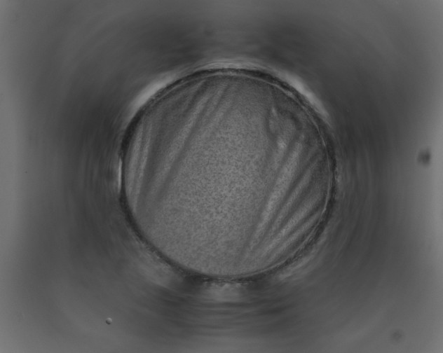 X0000090621221200707311237