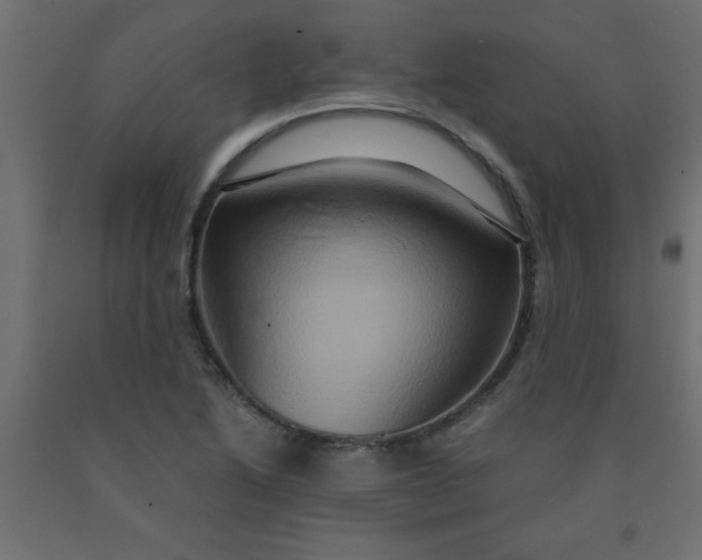 X0000090621222200707311237