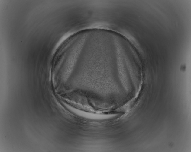 X0000090621224200707311237