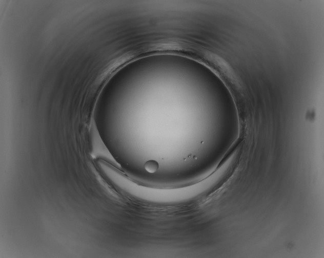 X0000090621225200707311237