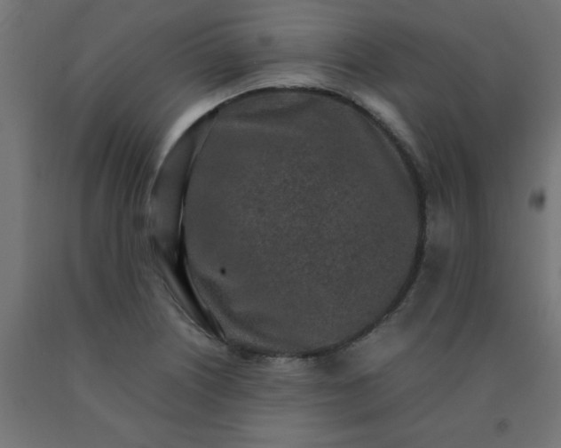 X0000090621226200707311237
