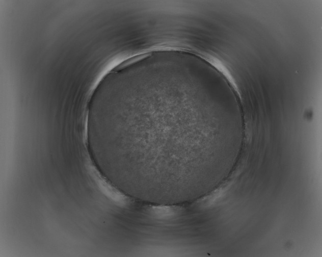 X0000090621227200707311237