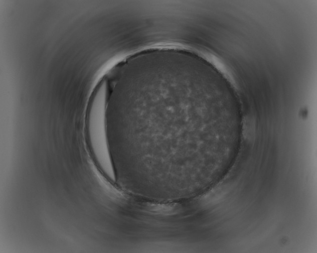 X0000090621229200707311237
