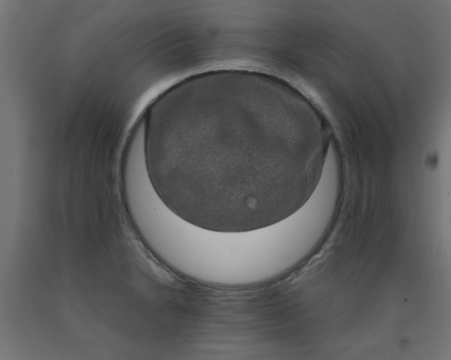 X0000090621230200707311237