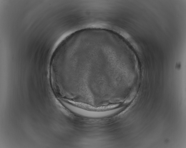 X0000090621232200707311237