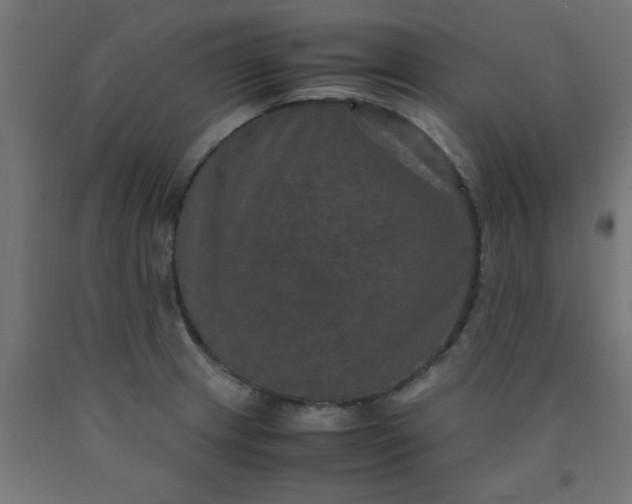 X0000090621233200707311237