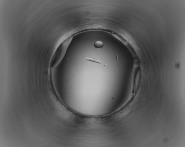 X0000090621234200707311237
