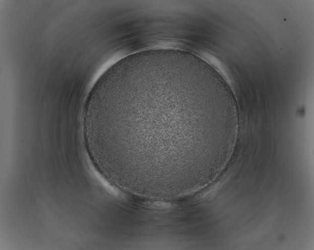 X0000090621235200707311237