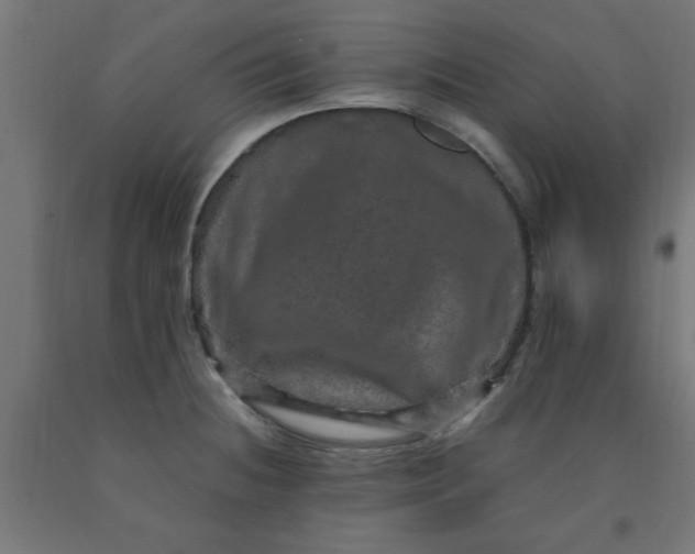 X0000090621236200707311237