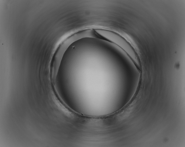 X0000090621238200707311237
