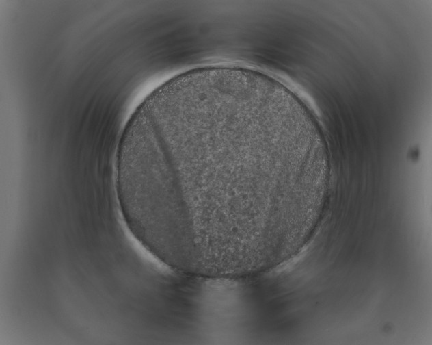 X0000090621239200707311237