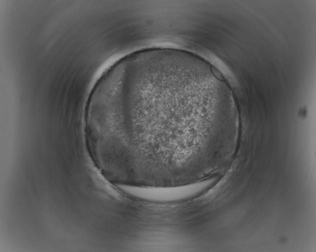 X0000090621240200707311237