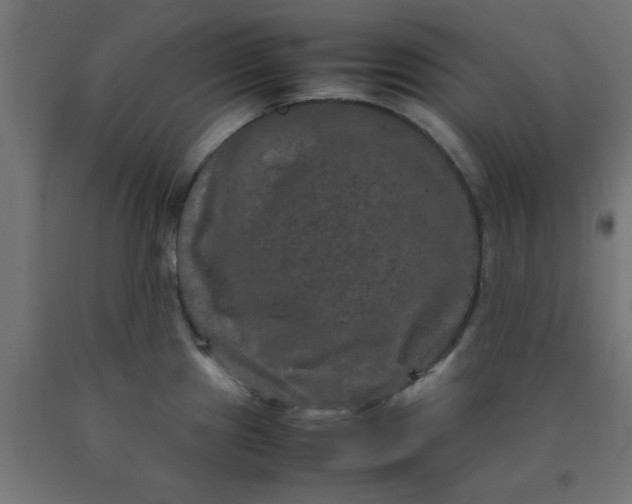 X0000090621241200707311237