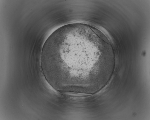X0000090621244200707311237