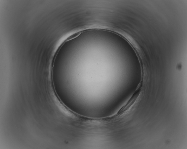 X0000090621246200707311237