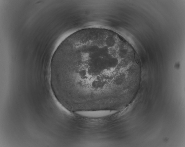 X0000090621247200707311237