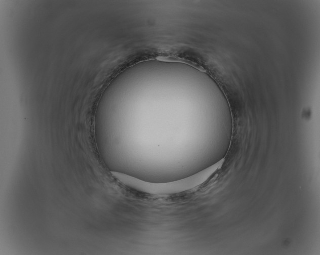 X0000090621249200707311237