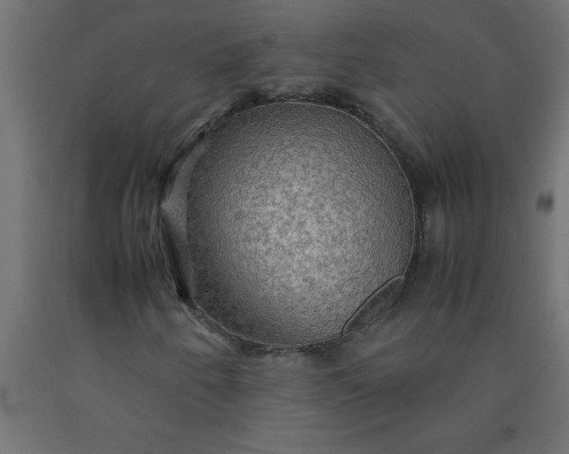 X0000090621250200707311237