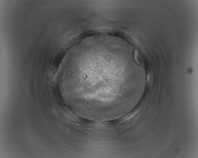 X0000090621251200707311237