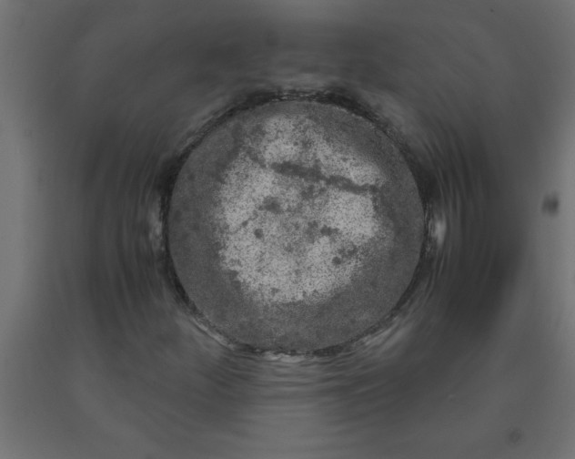 X0000090621252200707311237