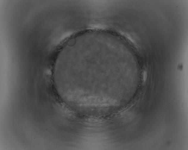X0000090621254200707311236