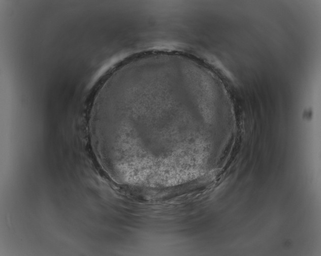 X0000090621256200707311236