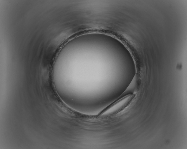 X0000090621257200707311236