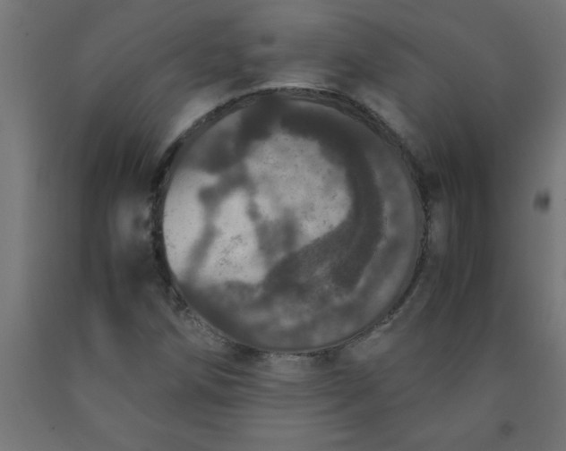 X0000090621258200707311236
