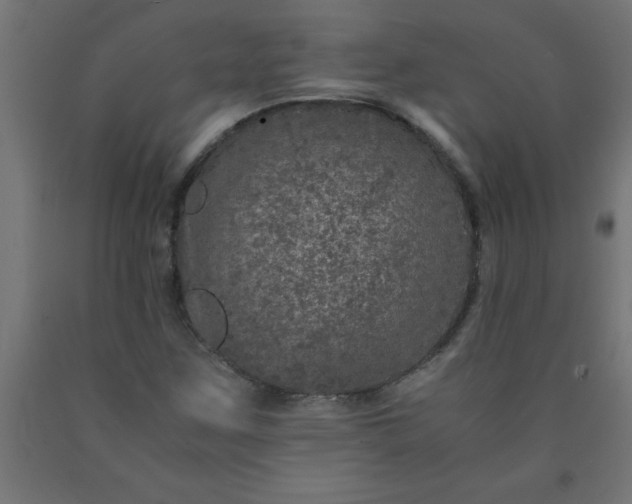 X0000090621259200707311236