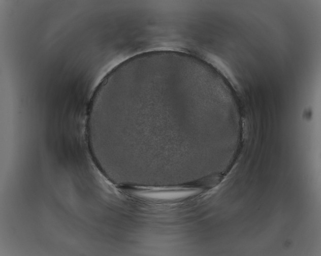 X0000090621260200707311236