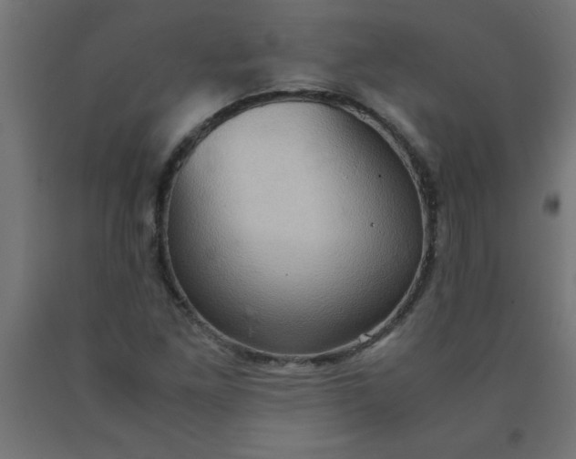 X0000090621261200707311236