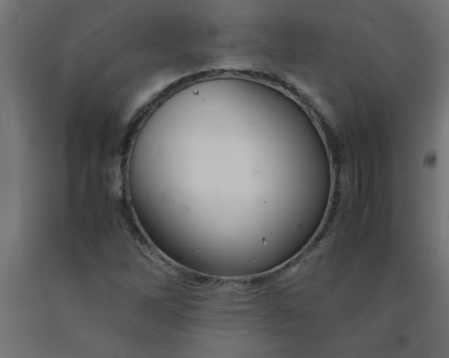 X0000090621262200707311236