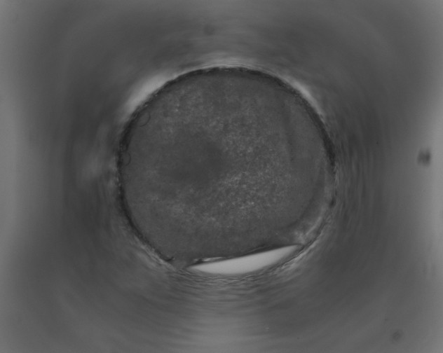 X0000090621263200707311236