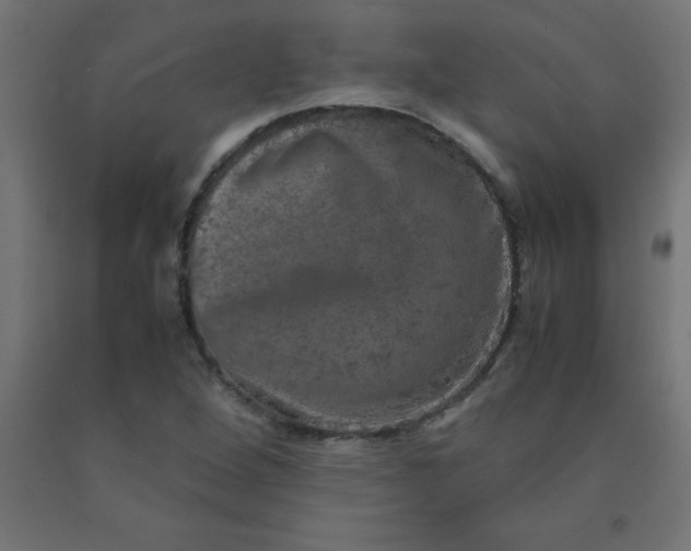 X0000090621264200707311236