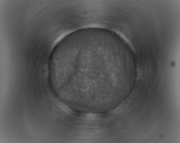 X0000090621266200707311236
