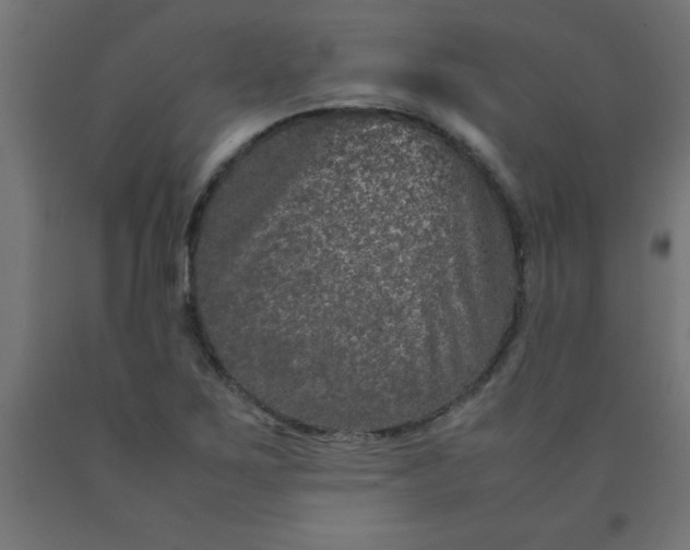 X0000090621267200707311236