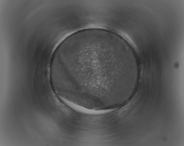 X0000090621268200707311236