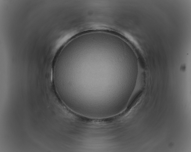 X0000090621269200707311236