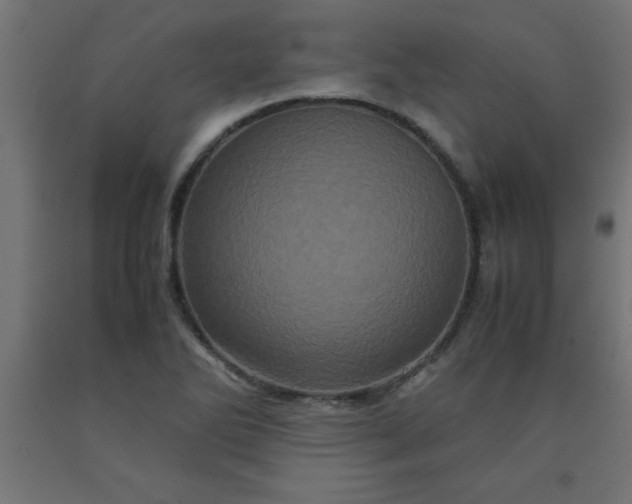 X0000090621270200707311236