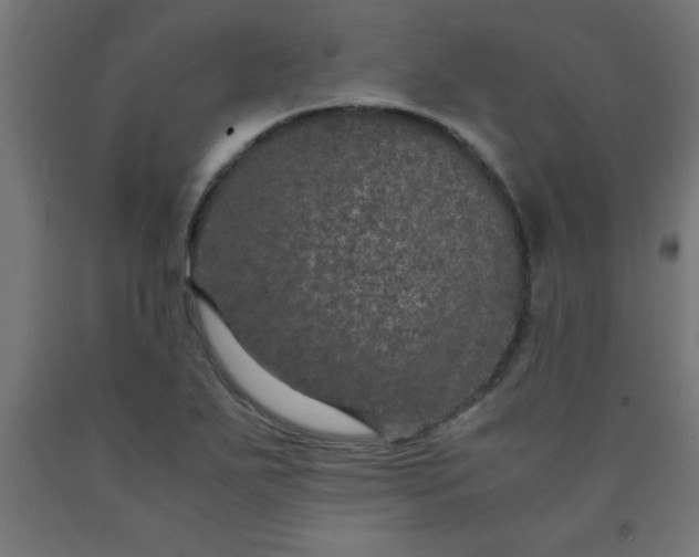 X0000090621271200707311236