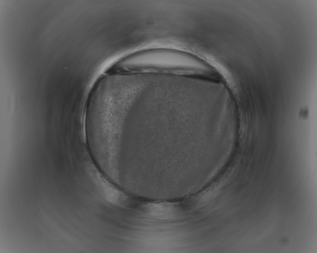 X0000090621272200707311236